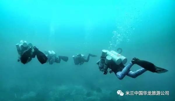 组装机械恐龙3